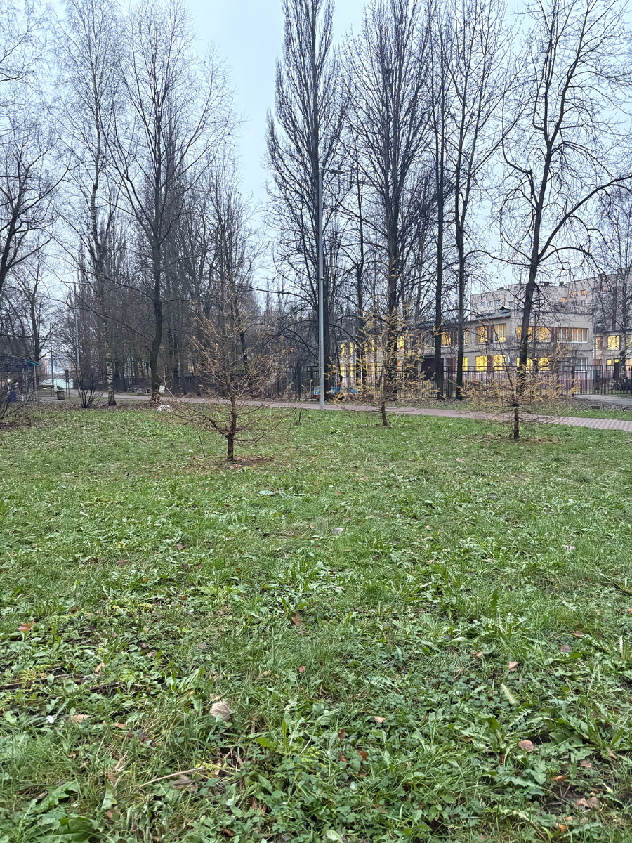 Даже травка зелёная 😊. 