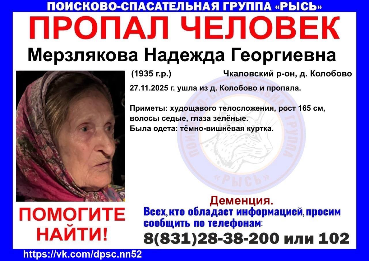    Надежда Мерзлякова ушла из дома в деревне Чкаловского района