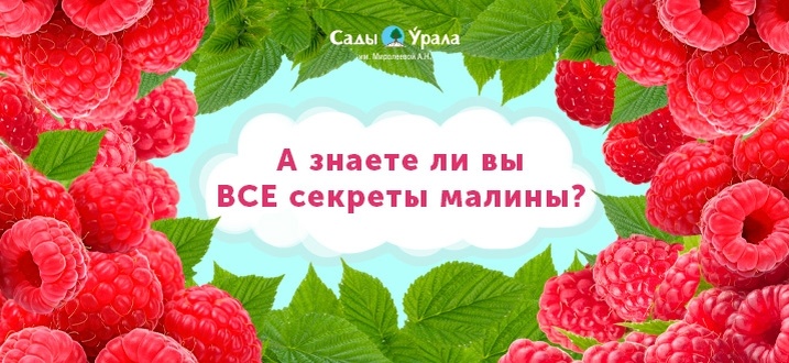 Создать карусель