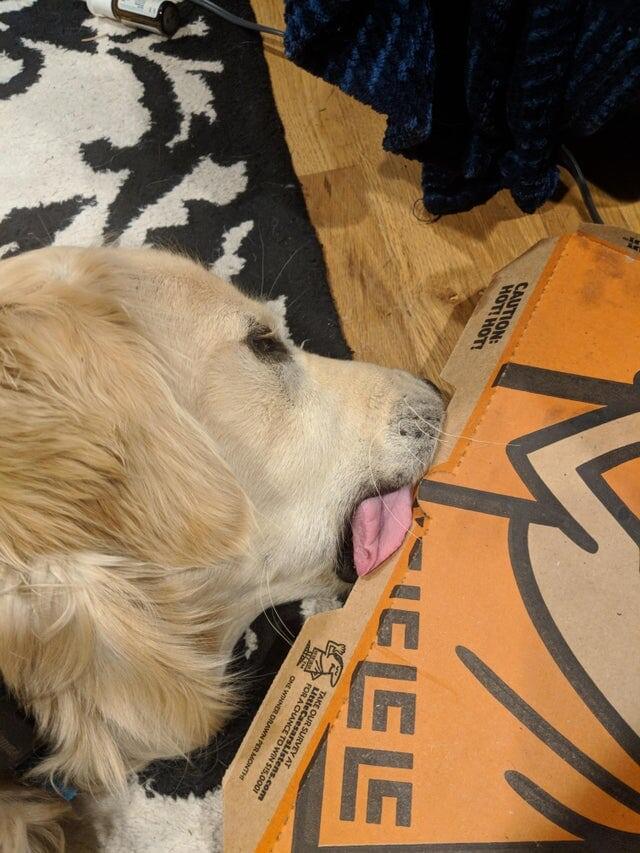 WhymustIcryempiredie