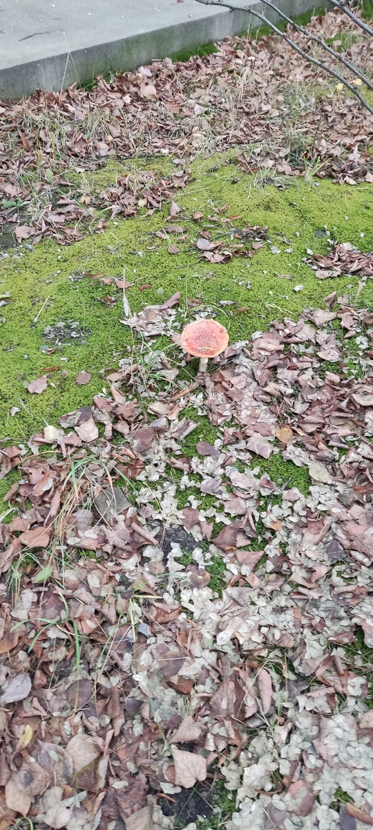 Удивительное рядом)