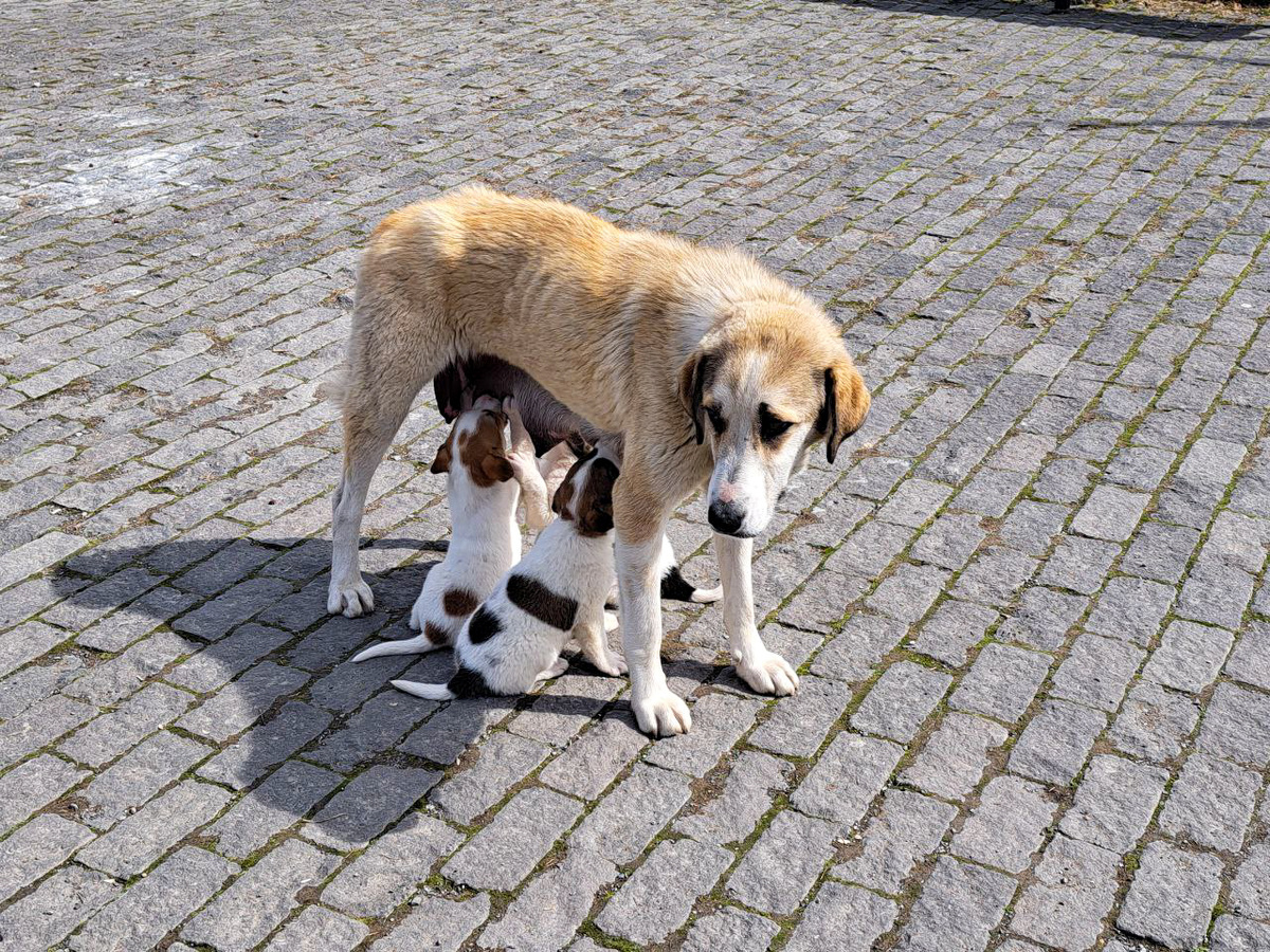 Отдельные сибиряки скептически относятся к возможности решения этого вопроса.  Фото: ФедералПресс / Вера Романескул
