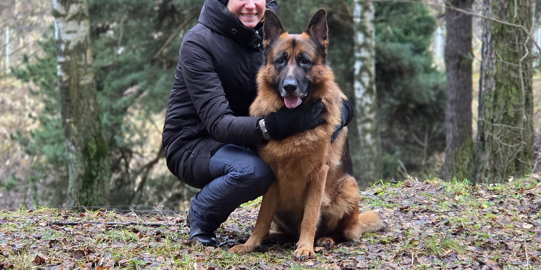 Жизнь хвостатой семьи в ноябре