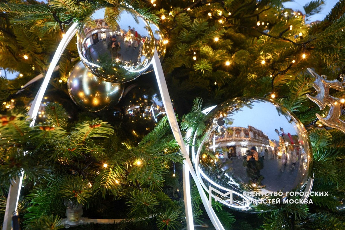 Фотограф: Ярослав Чингаев