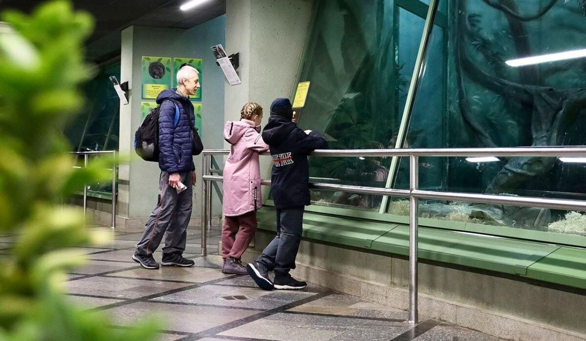     Люди в зоопарке. Источник: mos.ru Автор фото: Пресс-служба Московского зоопарка