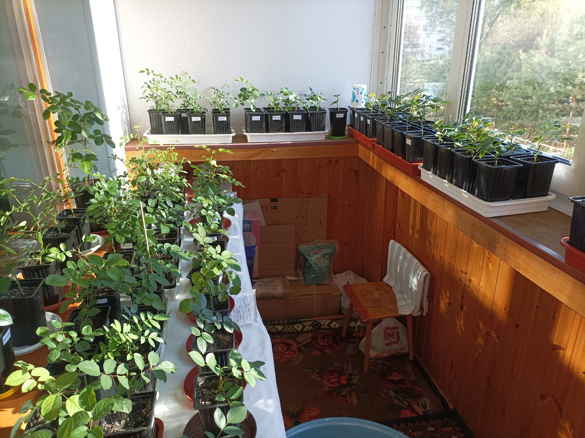 13 октября 2025 г