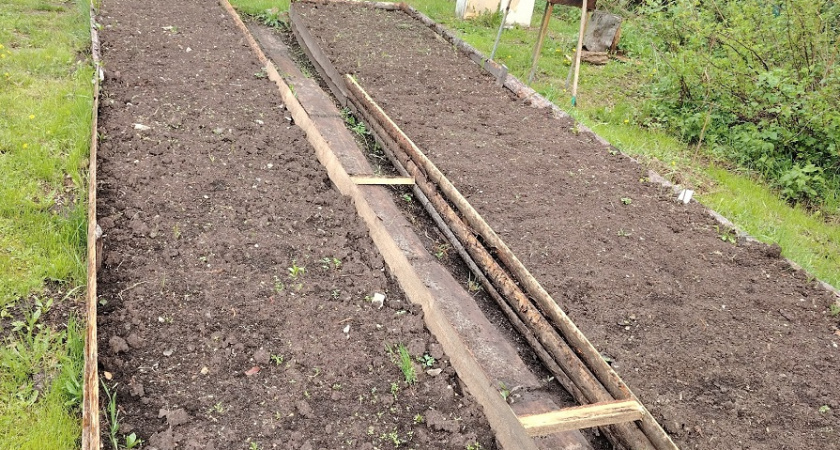    фото из архива редакции