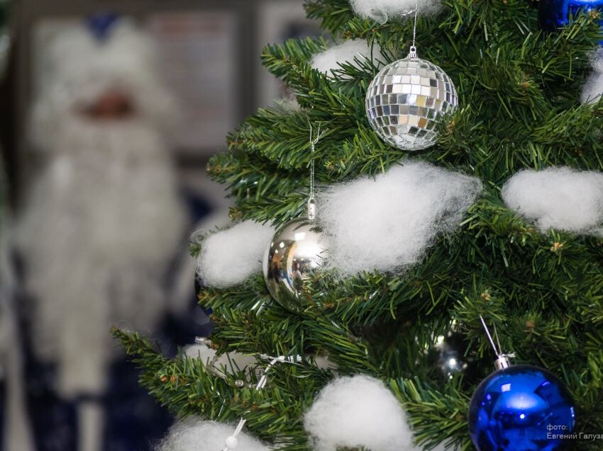    Фото: Евгений Галуза