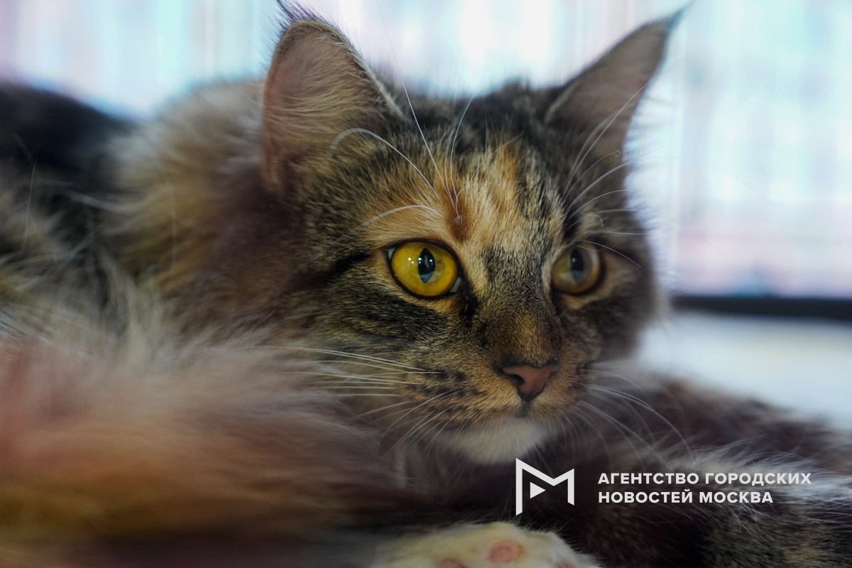 Фотограф: Александр Авилов