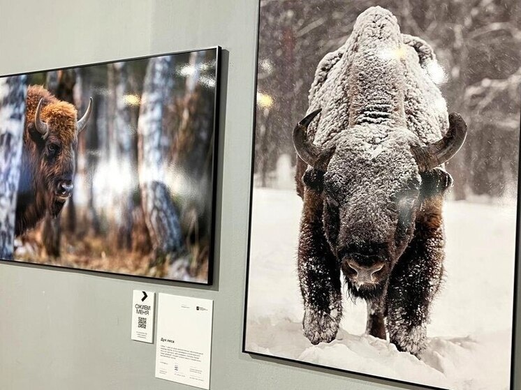     Фото: заповедник "Калужские засеки"