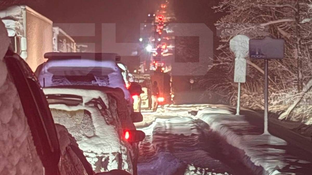    Фото: Telegram/Shot