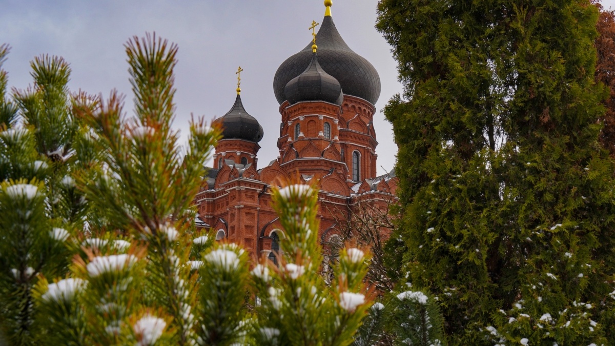 Светлана Мулыкина📷
