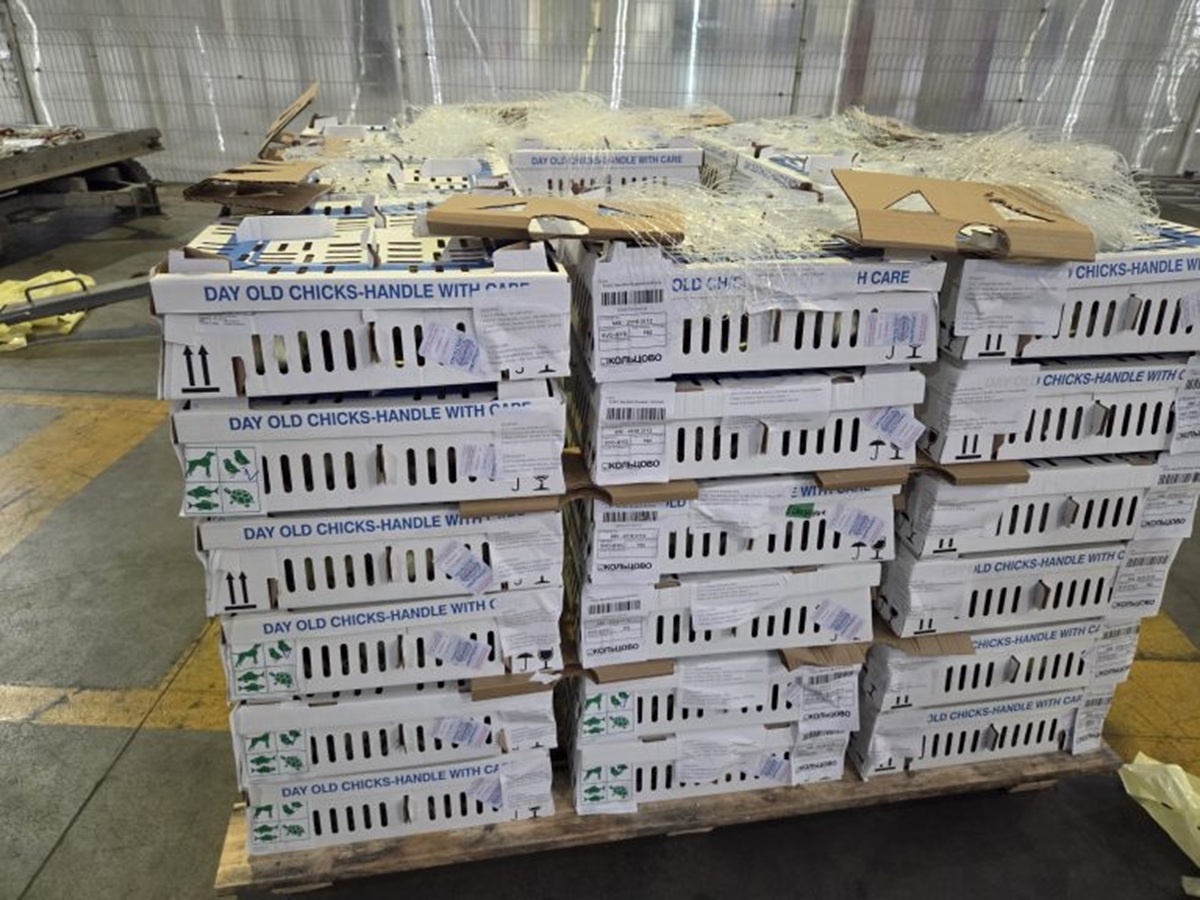 Фото: пресс-служба Уральского управления Россельхознадзора  📷
