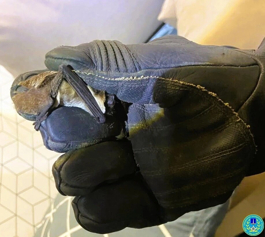    Фото: Управление гражданской защиты г. Ульяновска