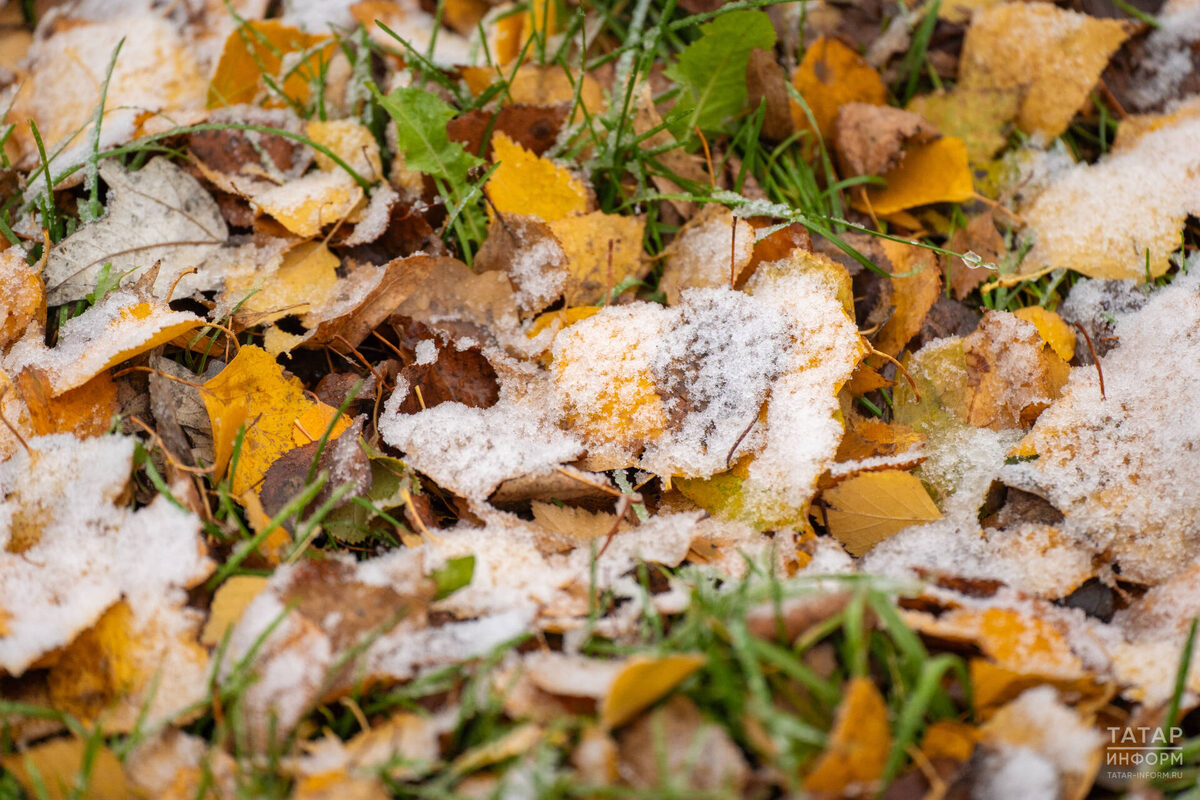 Фото: © Владимир Васильев / «Татар-информ»