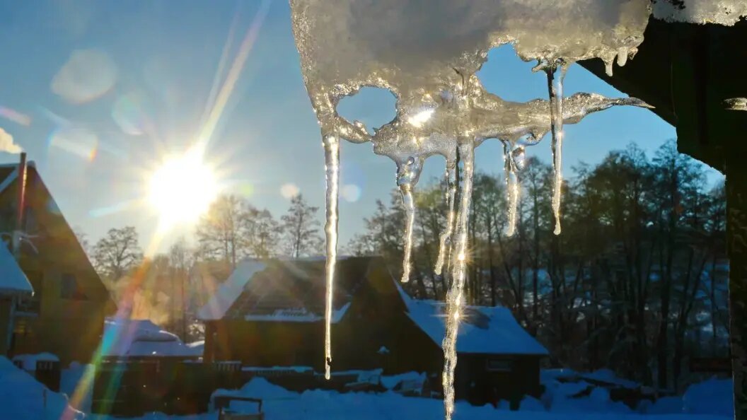    Фото: Олег Рукавицын/Царьград