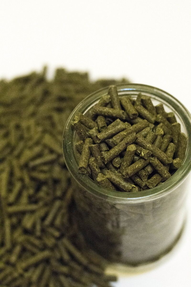 Основа рациона для морских свинок от "Биотех-зоо"