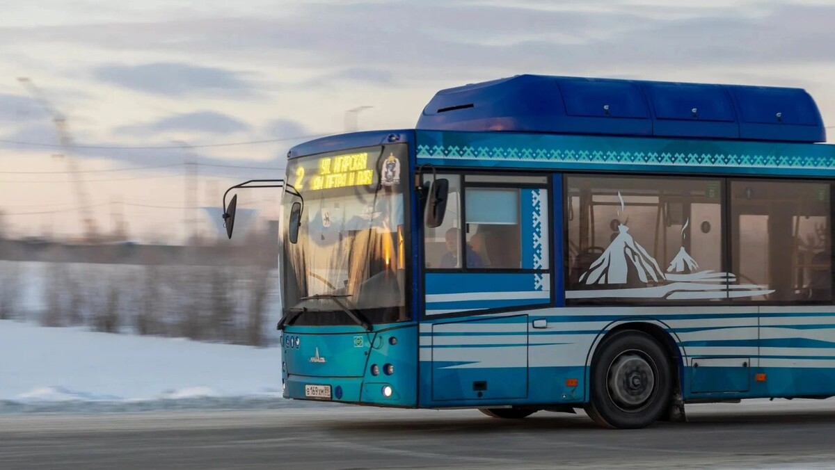    Фото: Фёдор Воронов / «Ямал-Медиа»