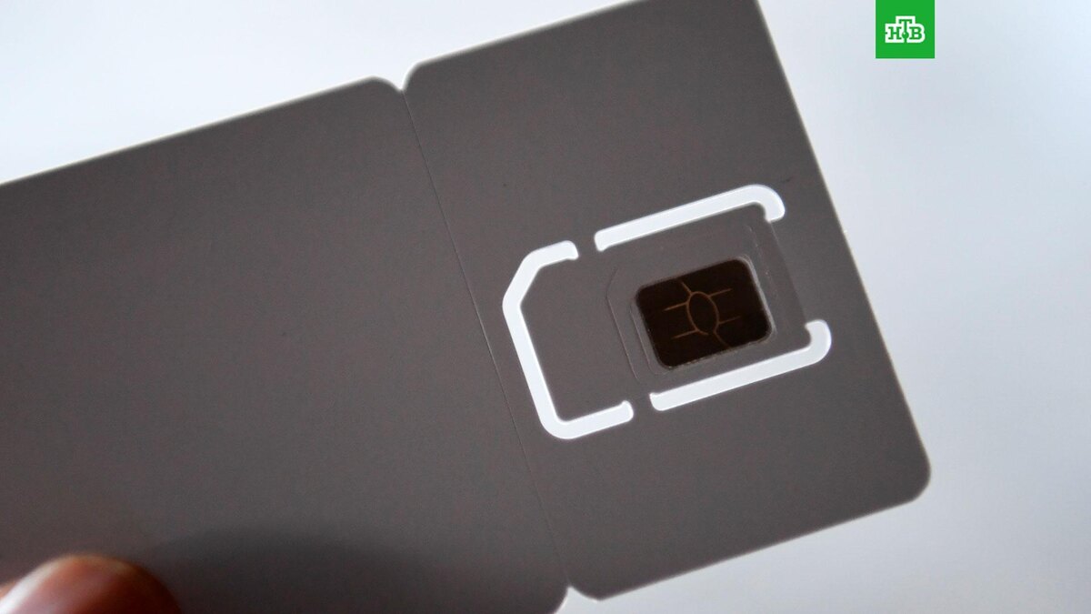    Фото: РИА Новости © 2025