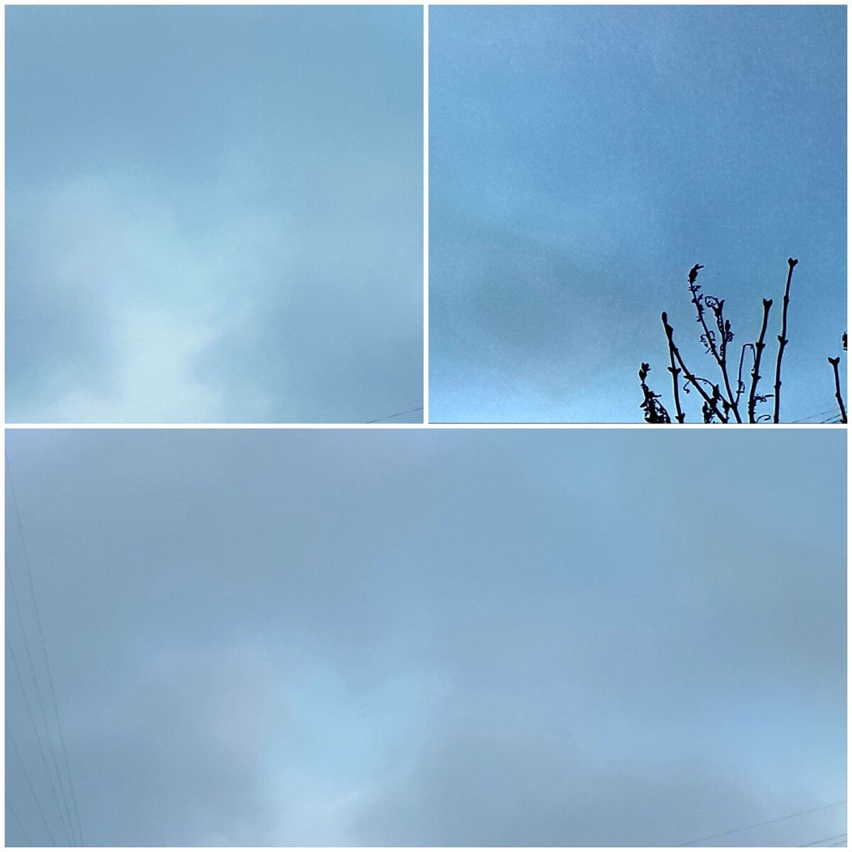 Коллаж автора статьи 01.12.2025г.