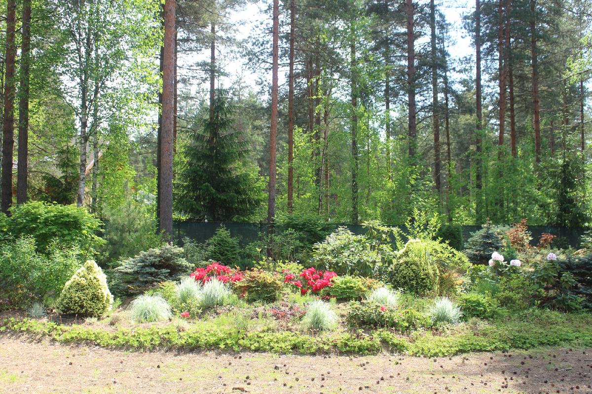 Первые дни июня