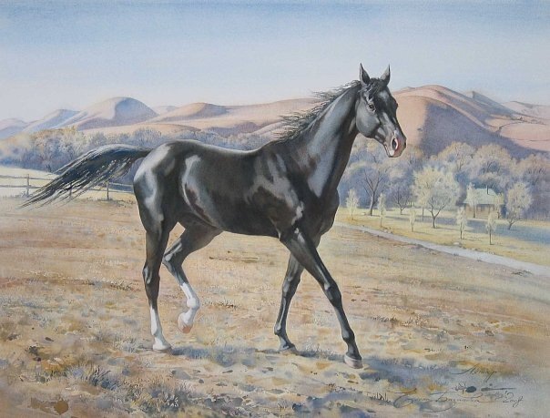 На картине Елены прекрасно передана акварелью легкая и нежная грация лошади 