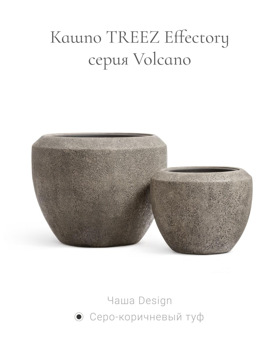 Кашпо и растения TREEZ Collection