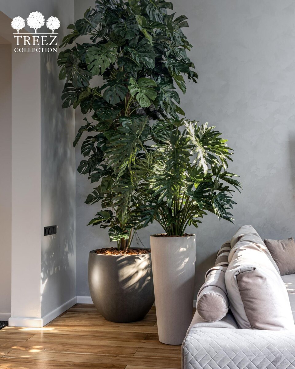 Кашпо и растения TREEZ Collection