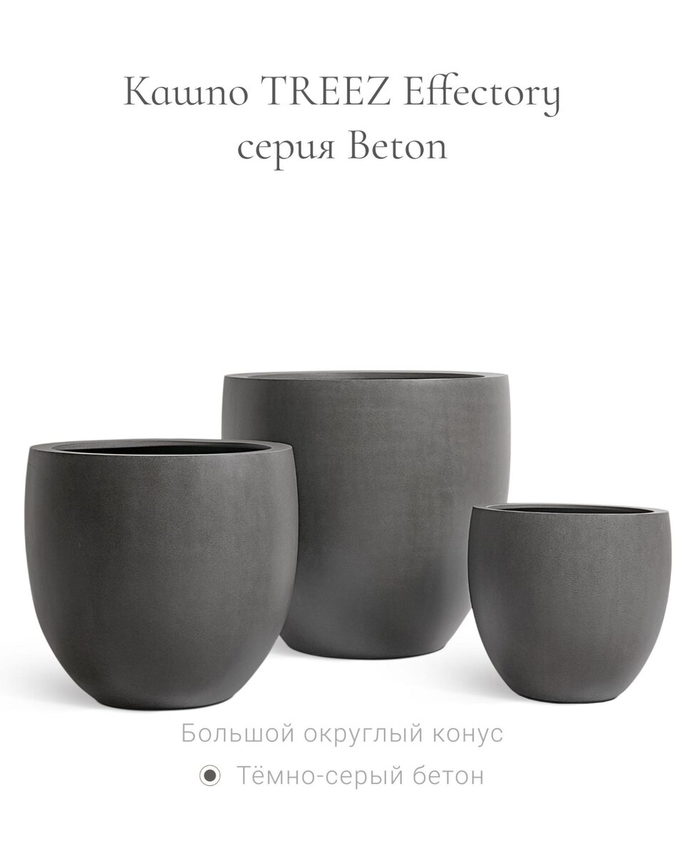 Кашпо и растения TREEZ Collection