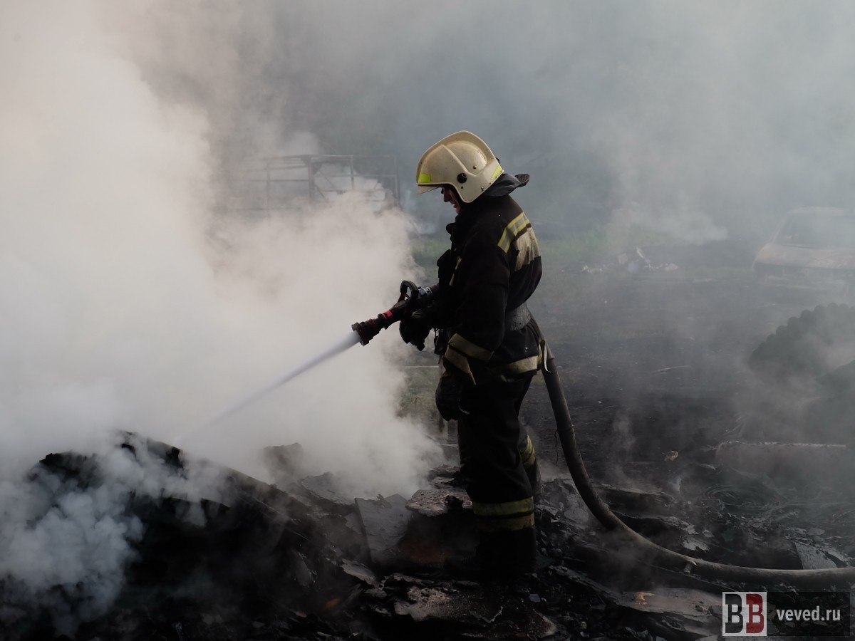     Фото: Вечерние ведомости