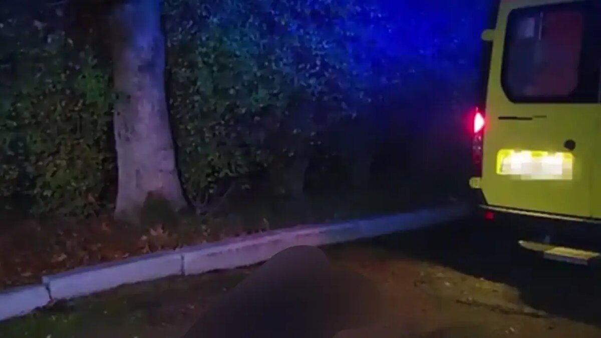    Оперативный кадр. © ФСБ России