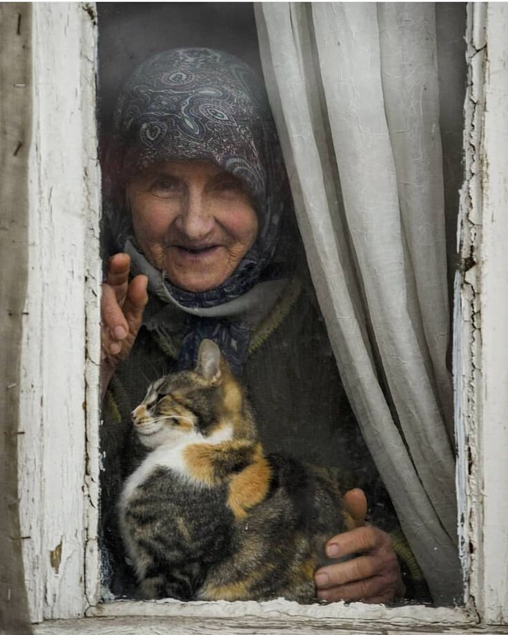 Фото из открытых источников