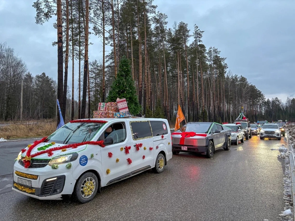    © "Дедморозим"