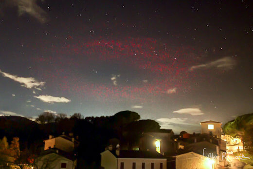 Скриншот из твиттер-аккаунта Вальтера Бинотто