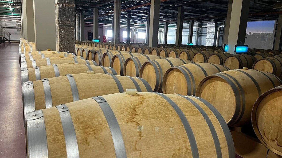    Фото: телеканал «Краснодар»