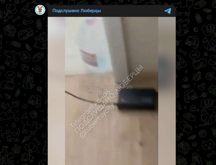 Фото: Telegram-канал "Подслушано Люберцы"