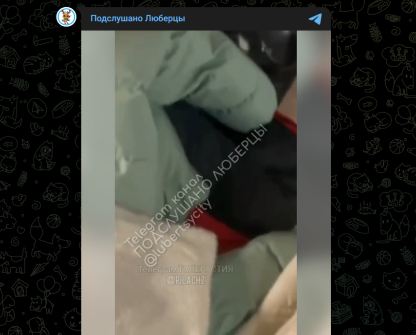 Фото: Telegram-канал "Подслушано Люберцы"