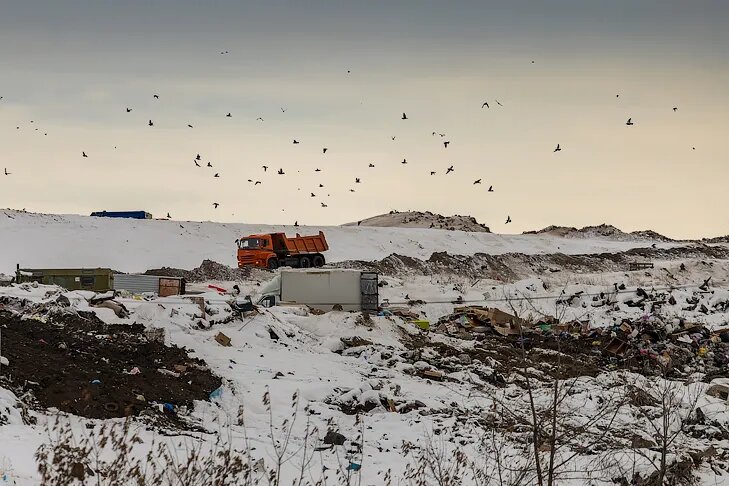    Фото Андрея Заржецкого, VN.ru