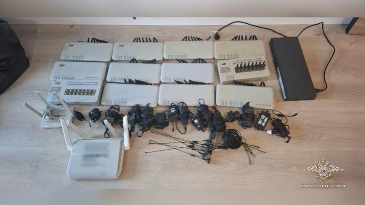    Фото: t.me/IrinaVolk_MVD