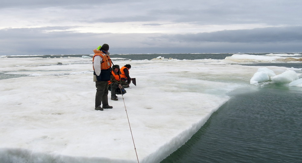 Где опаснее мореплавание: в Арктике или на Дальнем Востоке? Личный опыт