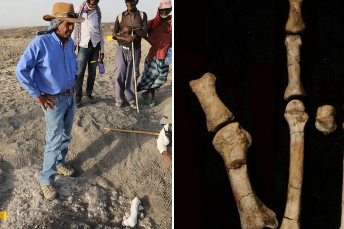    Фото: Стефани Мелилло, Университет Мерсихерст/Йоханнес Хайле Селассие/ASU