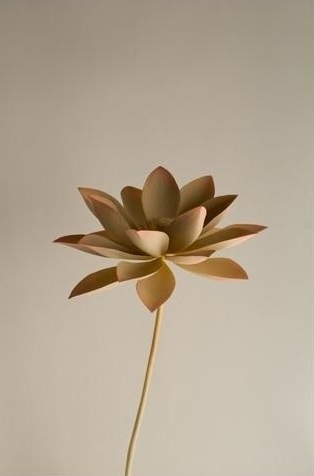 Реальный цветок в произведении скульптора выглядит сказочным и таинственным