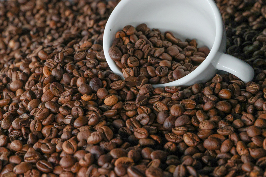    Сергей Булкин/NEWS.ru