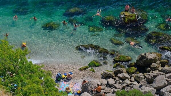    © Telegram-канал главы администрации Ялты Янины Павленко