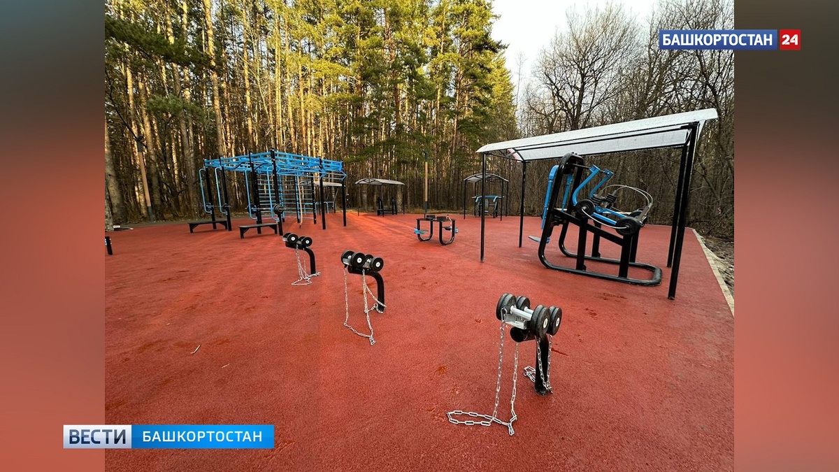    В парке Лесоводов в Уфе открылась новая спортплощадка