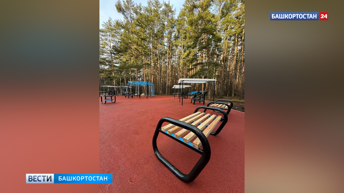    В парке Лесоводов в Уфе открылась новая спортплощадка