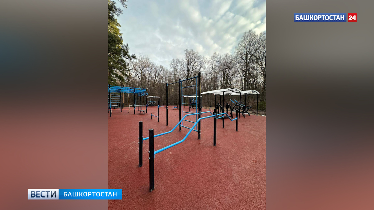    В парке Лесоводов в Уфе открылась новая спортплощадка