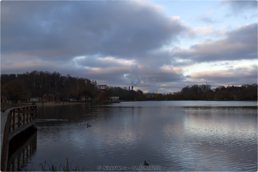 2. Кряквы на Мещерском пруду - © NickFW.ru - 22.10.2019г.