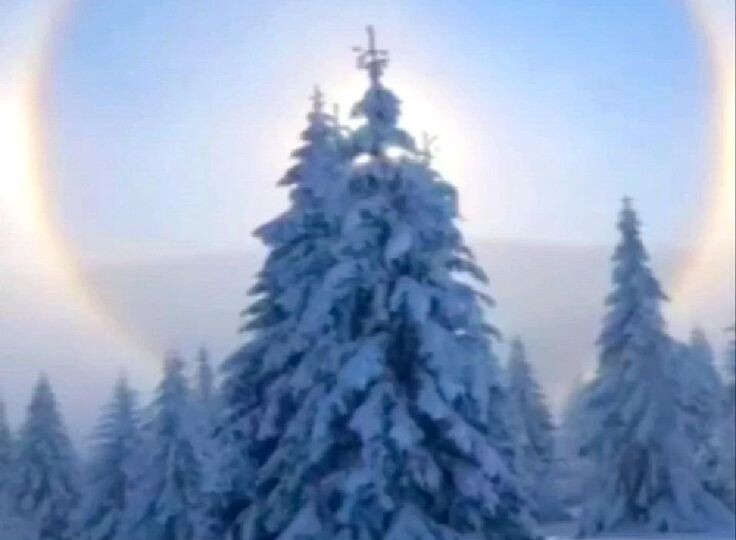 Вот и зима наступила.