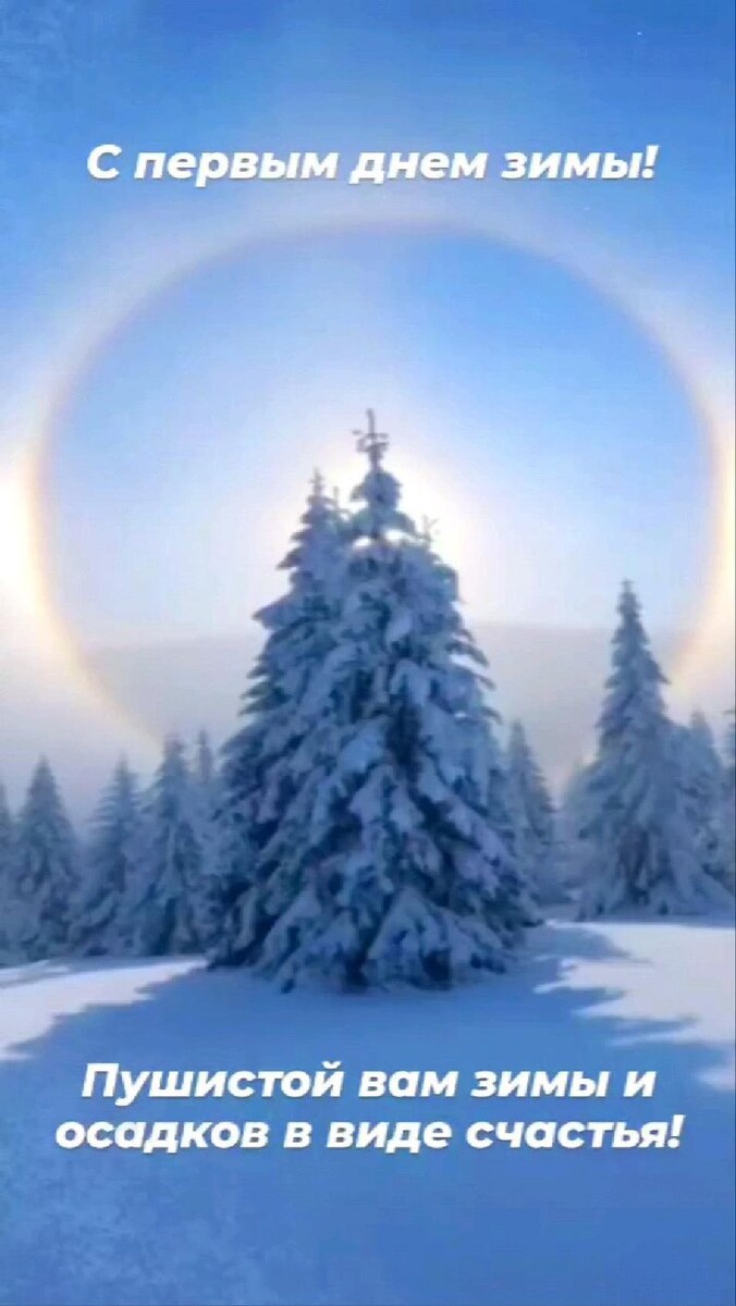 Яндекс картинки